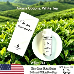 Aromatherapy Diffuser